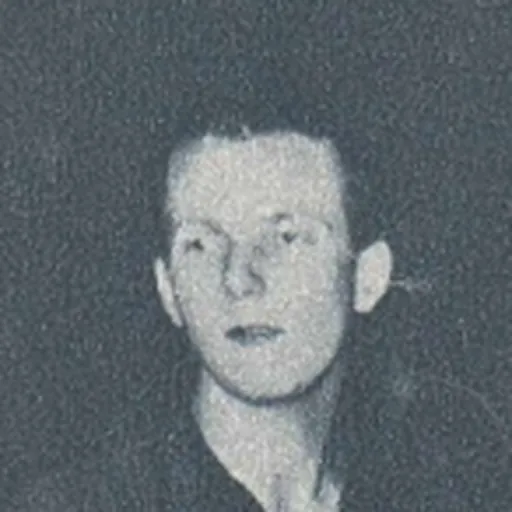 Portrait of Tiberiu Harasztosi