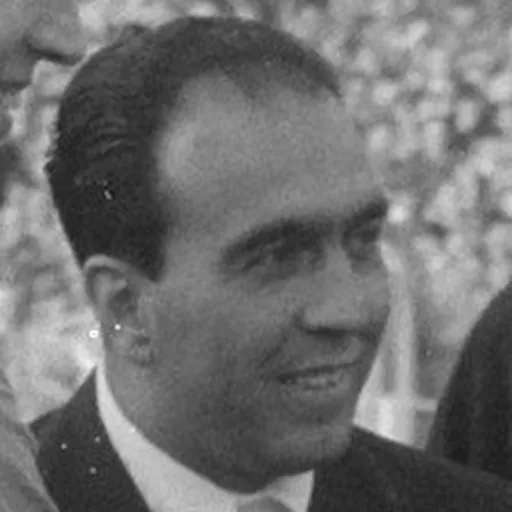 Portrait of Vincenzo Orlandini