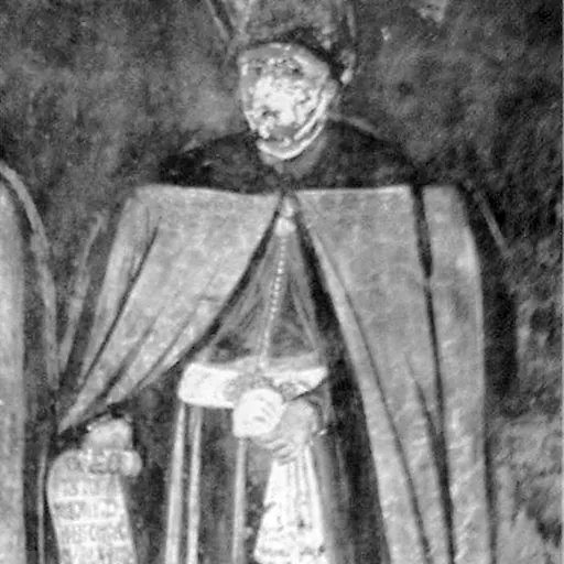 Portrait of Ștefăniță Lupu