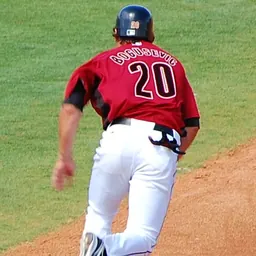 Portrait of Brian Bogusevic