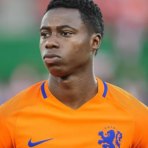 Portrait of Quincy Promes