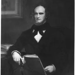 Portrait of Alexis Irénée du Pont