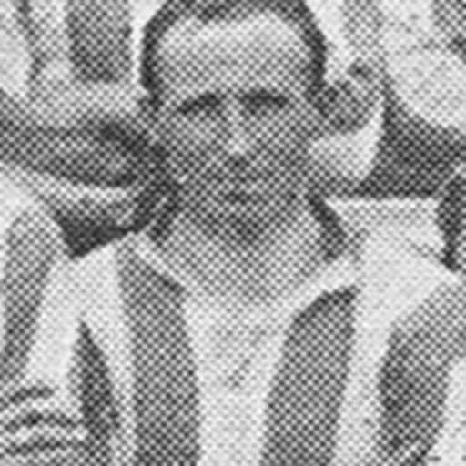 Portrait of James Donnelly