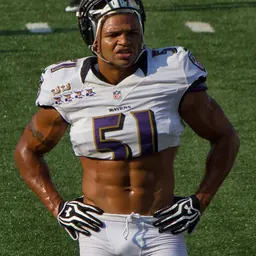 Portrait of Brendon Ayanbadejo
