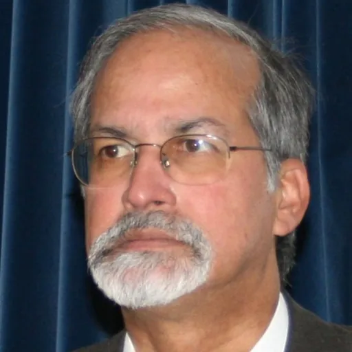 Portrait of Teotonio de Souza