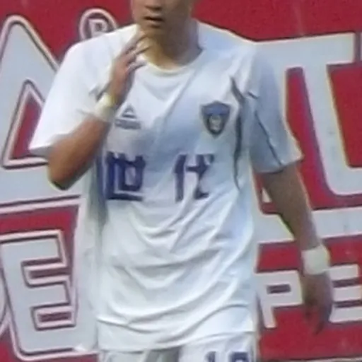 Portrait of Sung Jong-hyun
