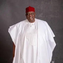 Portrait of Emmanuel Iwuanyanwu
