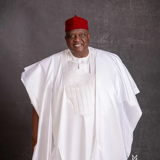 Portrait of Emmanuel Iwuanyanwu