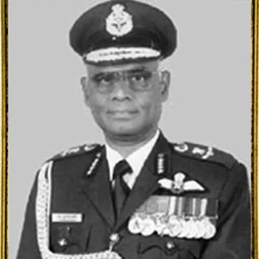 Portrait of Srinivasapuram Krishnaswamy
