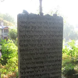 Portrait of Shalom Shachna
