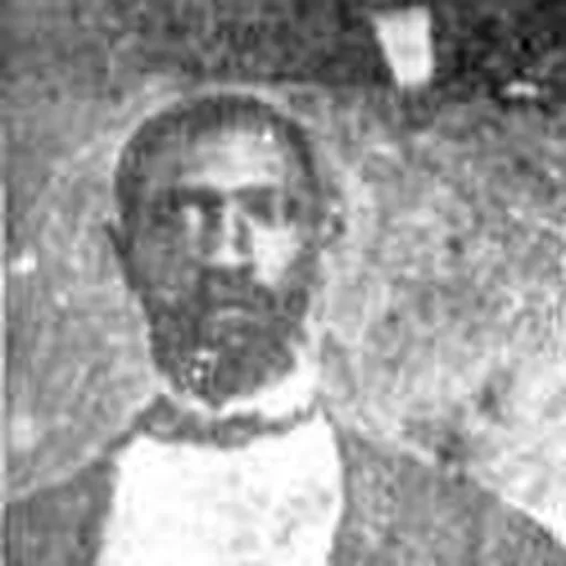 Portrait of Prince Rivers