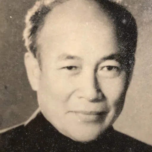 Portrait of Tô Hoài