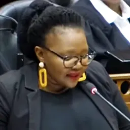 Portrait of Siviwe Gwarube