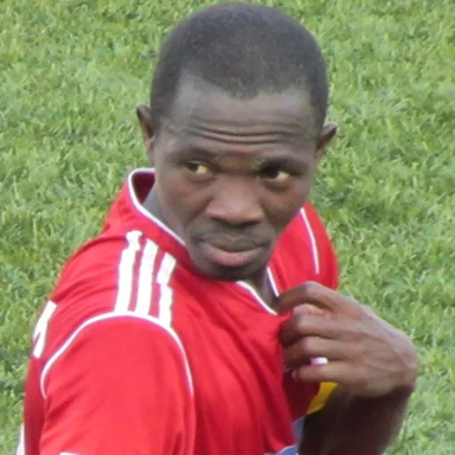 Portrait of Johnny Menyongar