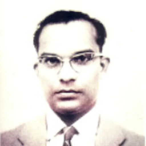 Portrait of Adnan Hussain