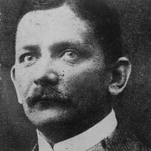 Portrait of Walther Schücking