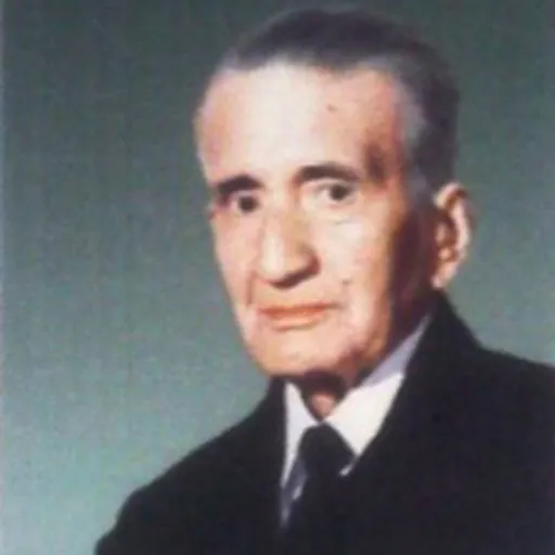 Portrait of Alireza Afzalipour