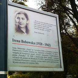 Portrait of Irena Bobowska