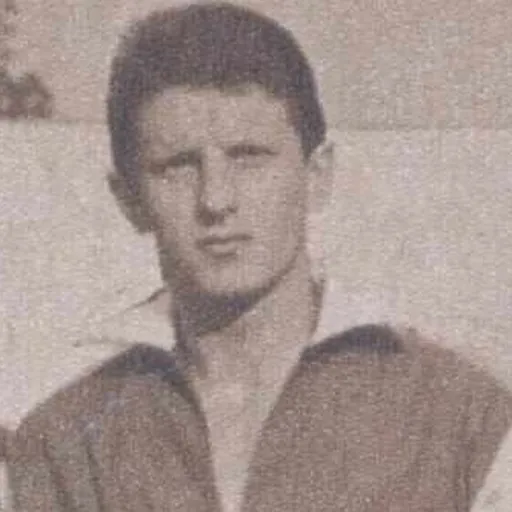 Portrait of Remus Câmpeanu