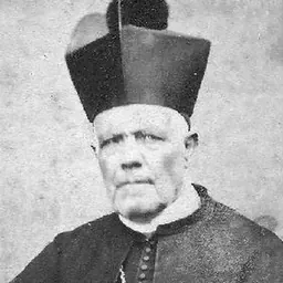 Portrait of Manuel Martins Manso
