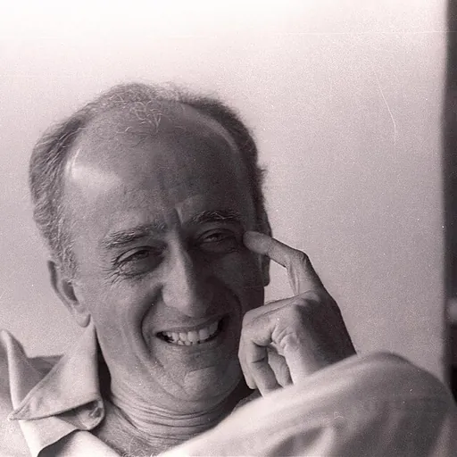 Portrait of Millôr Fernandes