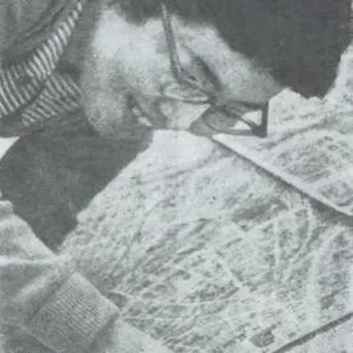 Portrait of Toyoko Yamasaki