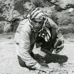 Portrait of Renato Bossi