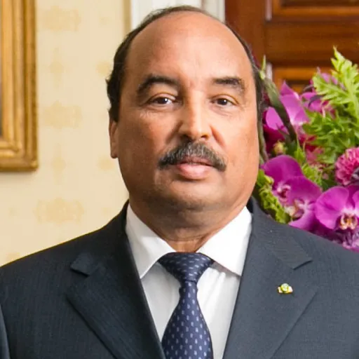 Portrait of Mohamed Ould Abdel Aziz