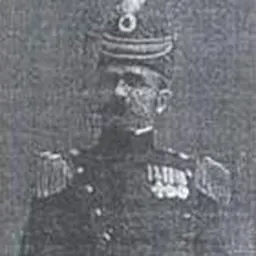 Portrait of Ljubomir Vulović