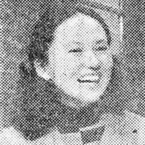 Portrait of Ahn In-sook