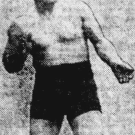 Portrait of Joe Bailey