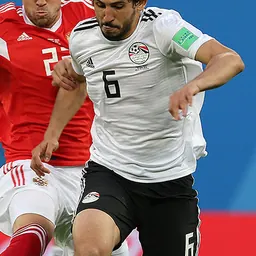 Portrait of Ahmed Hegazi