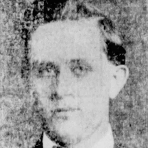 Portrait of Roy Elonza Davis