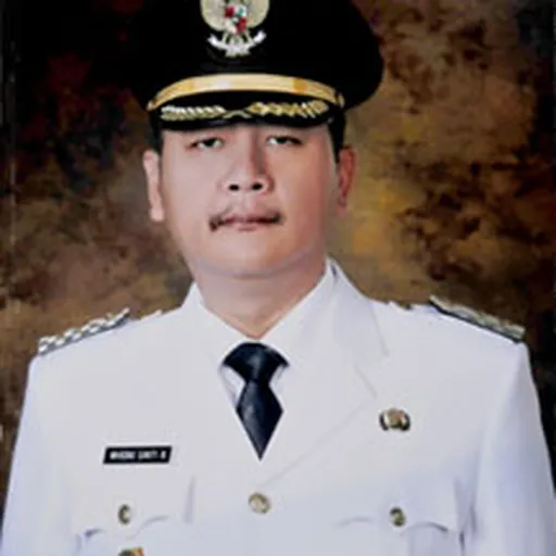 Portrait of Wisnu Sakti Buana
