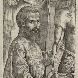 Portrait of Andreas Vesalius