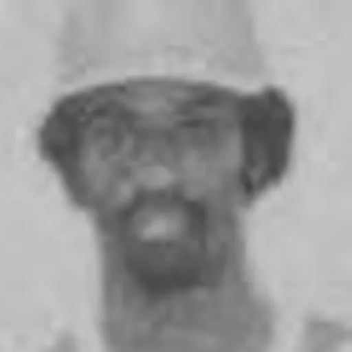 Portrait of Kevin House