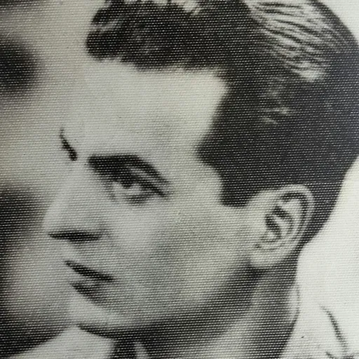 Portrait of Terzilio Cardinali