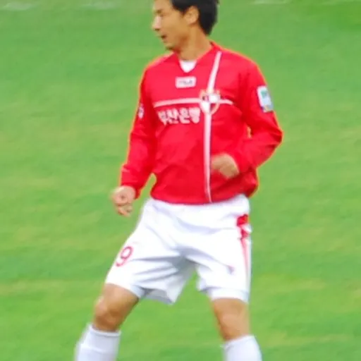 Portrait of Kim Han-yoon