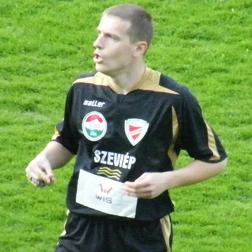 Portrait of Đorđe Kamber