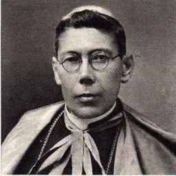 Portrait of Teodósio de Gouveia