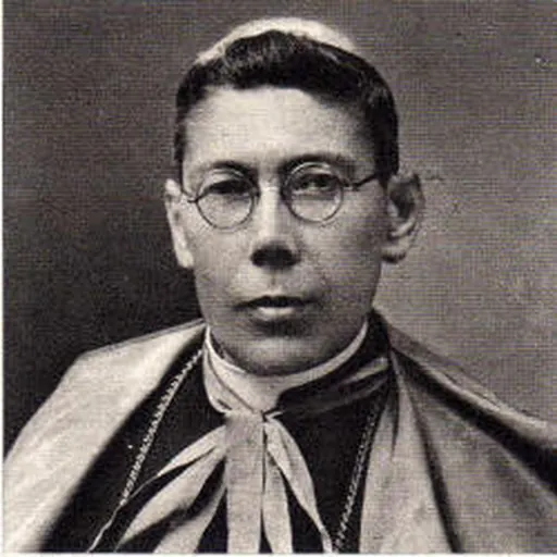 Portrait of Teodósio de Gouveia