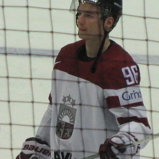Portrait of Māris Bičevskis
