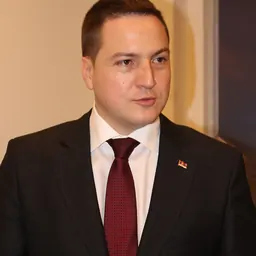 Portrait of Branko Ružić