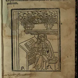 Portrait of Gualterus Anglicus