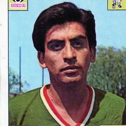 Portrait of Alberto Onofre