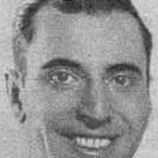 Portrait of Luigi Arbib Pascucci
