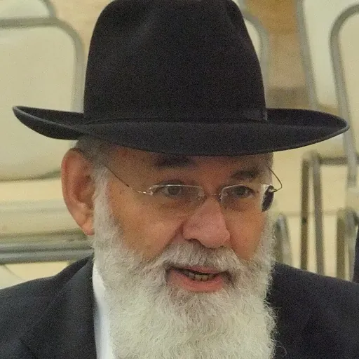 Portrait of Avraham Steinberg