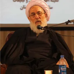 Portrait of Mohsen Mojtahed Shabestari