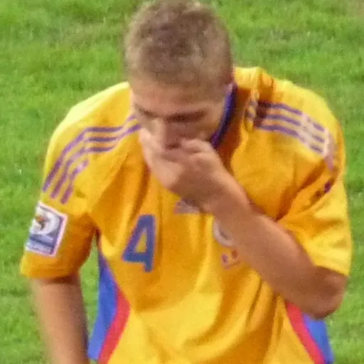 Portrait of Mihai Roman