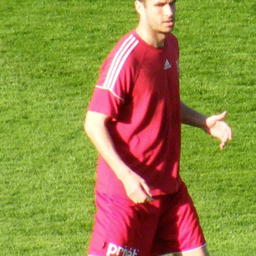Portrait of Ádám Komlósi
